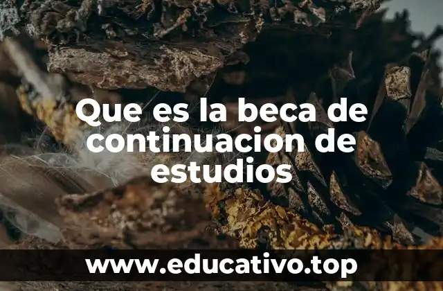 Que es la beca de continuacion de estudios