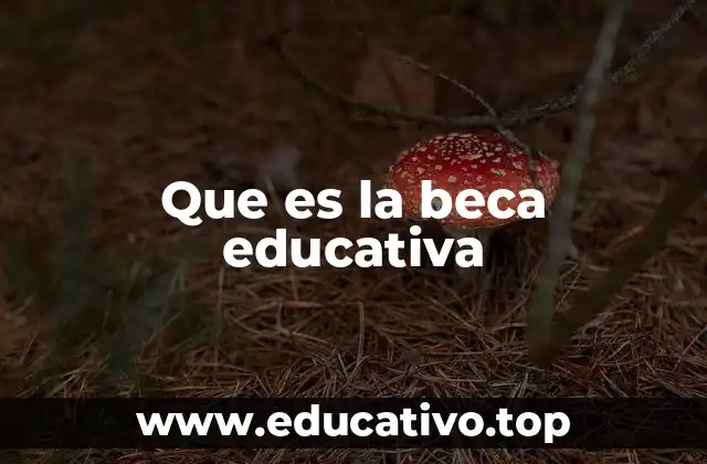 Que es la beca educativa