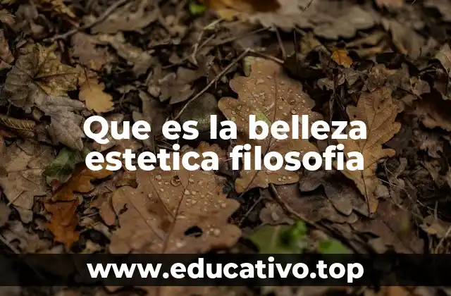 Que es la belleza estetica filosofia