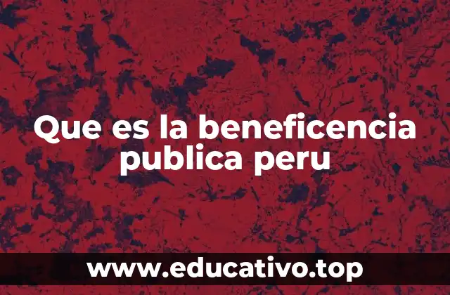 El papel del Estado en la promoción de la beneficencia pública