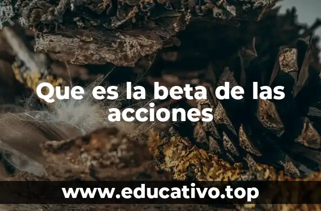 Que es la beta de las acciones