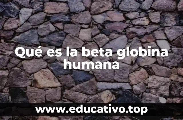 Qué es la beta globina humana