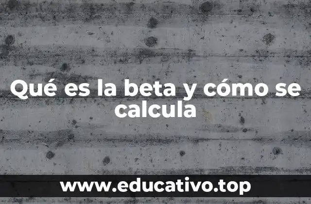 Qué es la beta y cómo se calcula