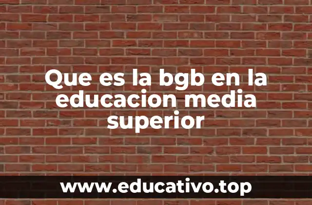 Que es la bgb en la educacion media superior