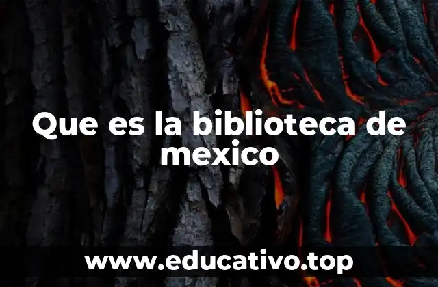 El rol histórico de la biblioteca en la preservación del conocimiento mexicano