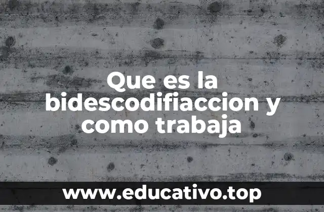 Que es la bidescodifiaccion y como trabaja