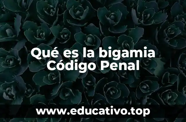 Qué es la bigamia Código Penal