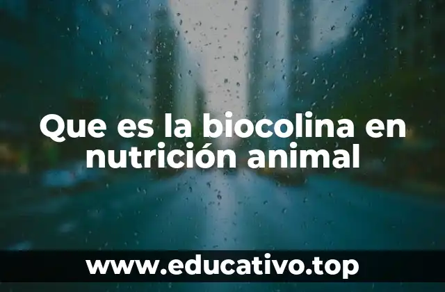 Que es la biocolina en nutrición animal