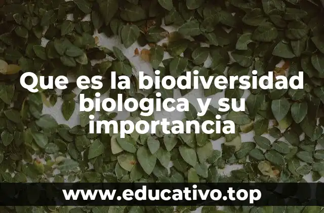 Que es la biodiversidad biologica y su importancia