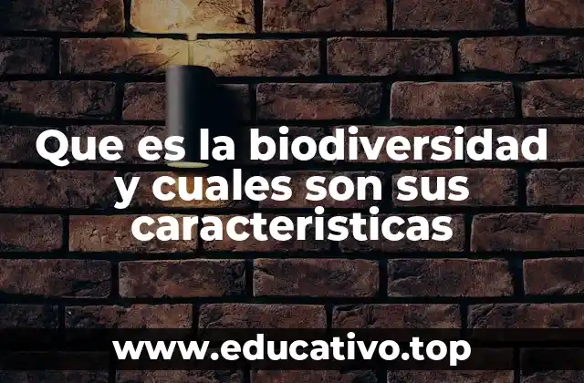 Que es la biodiversidad y cuales son sus caracteristicas