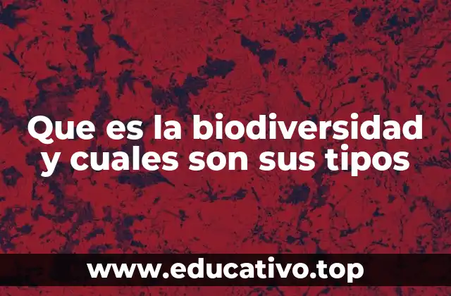 Que es la biodiversidad y cuales son sus tipos