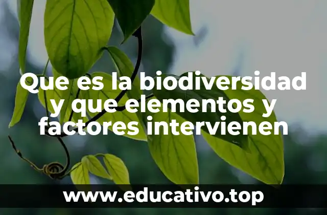 Que es la biodiversidad y que elementos y factores intervienen