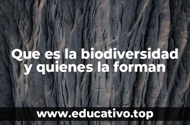 La importancia de los ecosistemas en la vida del planeta
