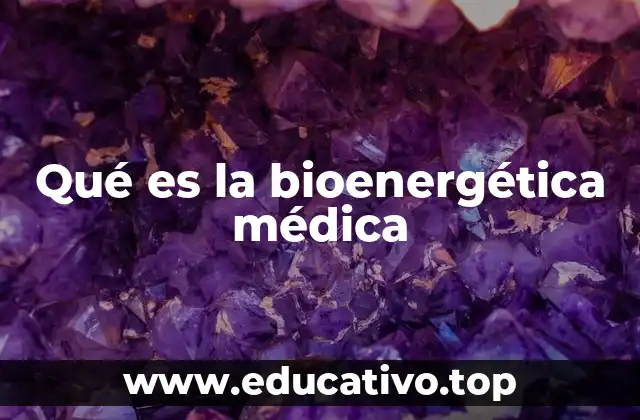 El papel de la energía en el equilibrio fisiológico
