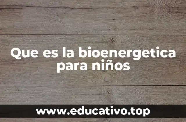 Que es la bioenergetica para niños