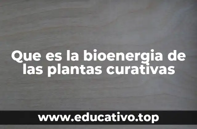 Cómo las plantas interactúan con su entorno energéticamente