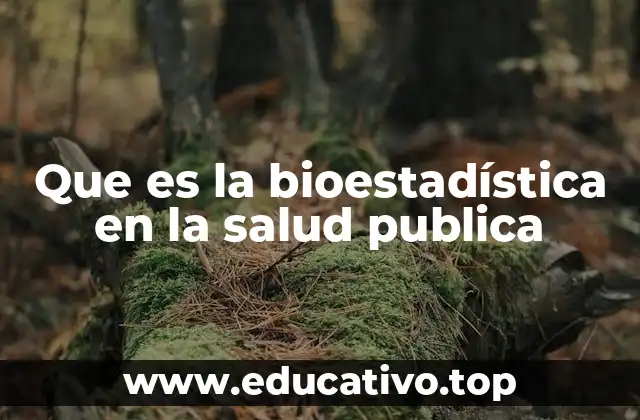 Que es la bioestadística en la salud publica