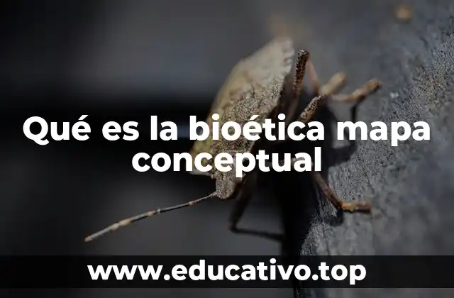 Qué es la bioética mapa conceptual