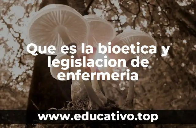 Que es la bioetica y legislacion de enfermeria