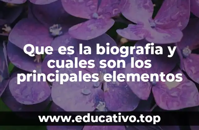 Que es la biografia y cuales son los principales elementos