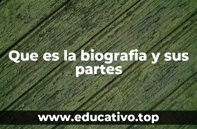 Que es la biografia y sus partes