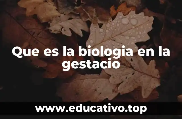 Que es la biologia en la gestacio