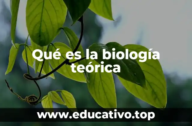 El papel de la modelización en la ciencia biológica