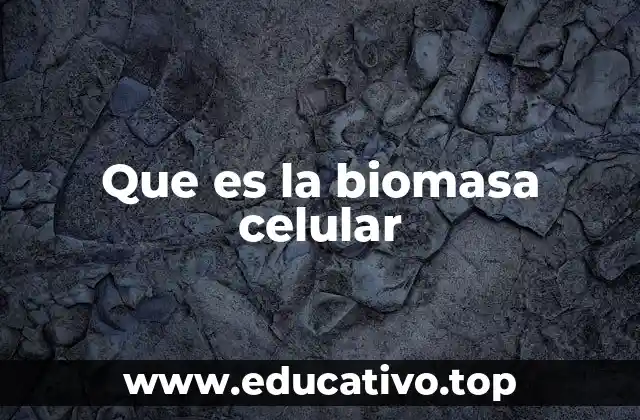 El papel de la biomasa en los ecosistemas