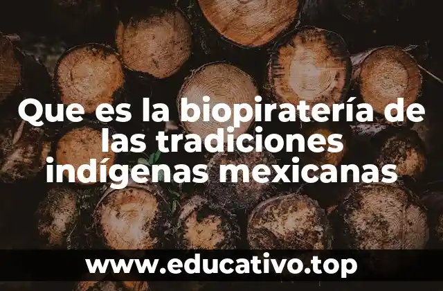Que es la biopiratería de las tradiciones indígenas mexicanas
