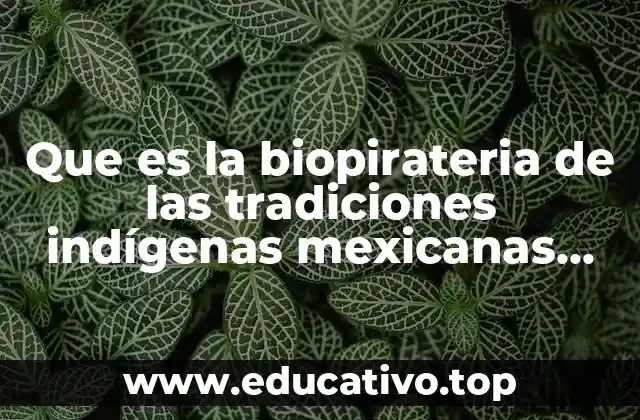 Que es la biopirateria de las tradiciones indígenas mexicanas productos