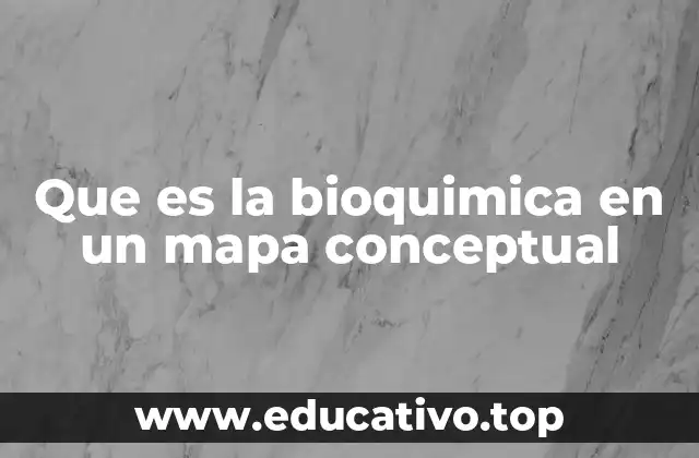 Que es la bioquimica en un mapa conceptual