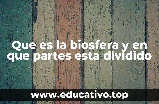 La interacción entre los componentes de la biosfera