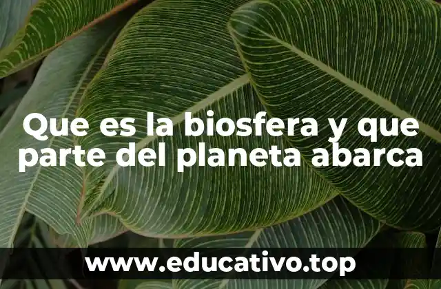 Que es la biosfera y que parte del planeta abarca