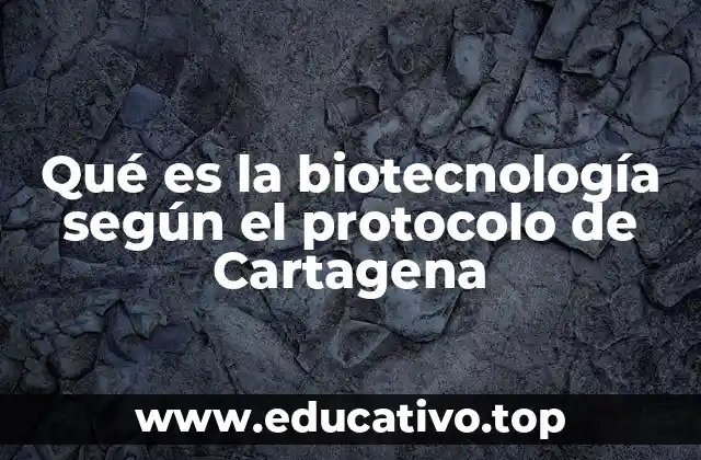 Qué es la biotecnología según el protocolo de Cartagena