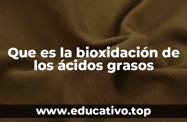 Que es la bioxidación de los ácidos grasos