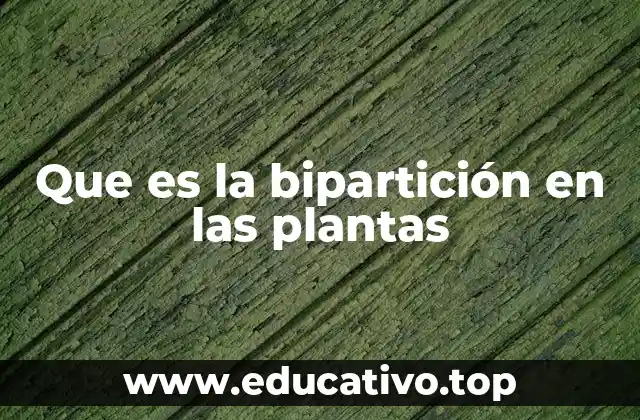 Que es la bipartición en las plantas