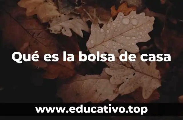 Qué es la bolsa de casa