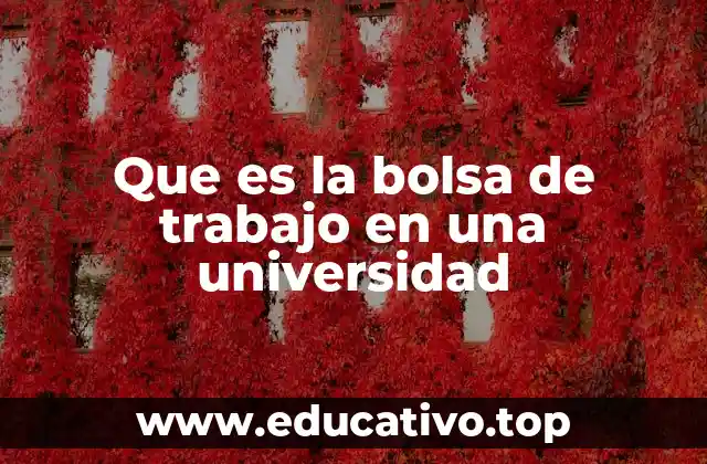 Que es la bolsa de trabajo en una universidad