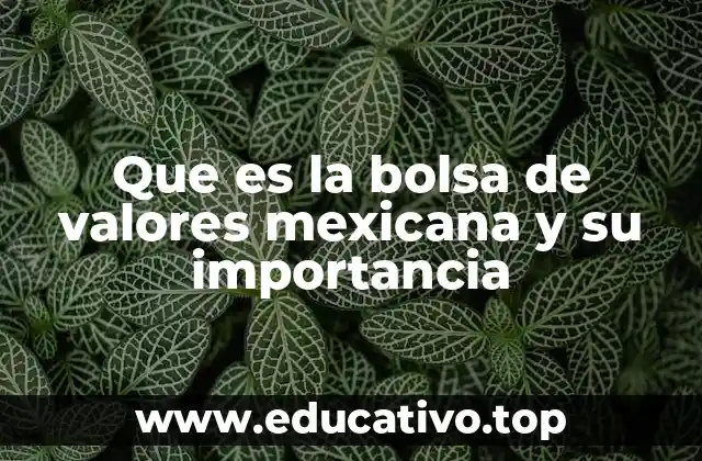 Que es la bolsa de valores mexicana y su importancia