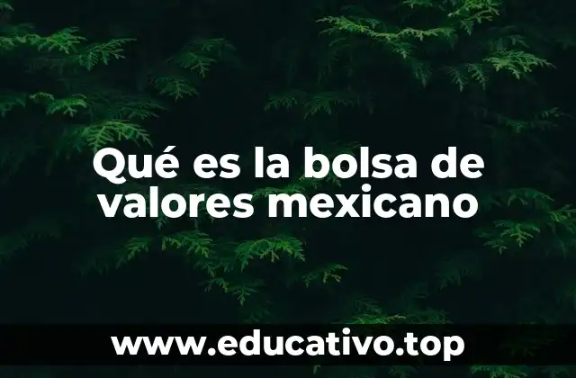 Qué es la bolsa de valores mexicano