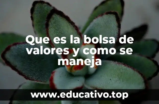 Que es la bolsa de valores y como se maneja