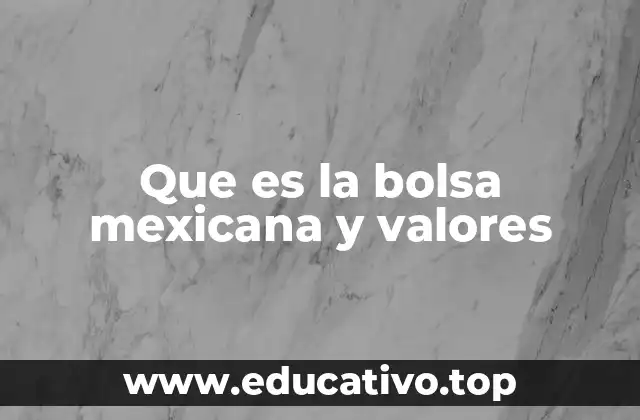 Que es la bolsa mexicana y valores