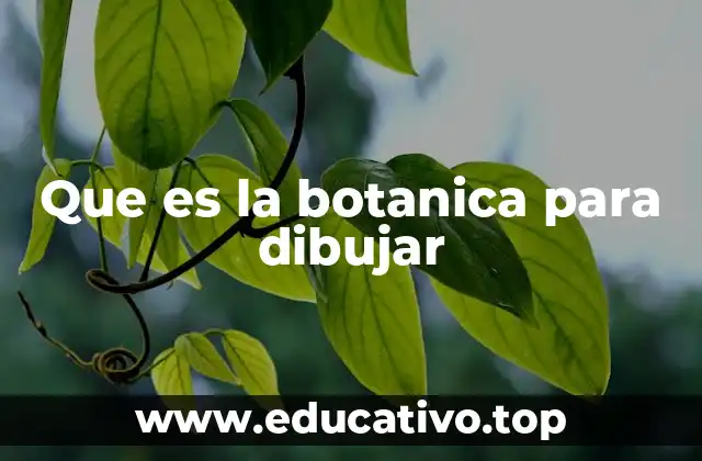 Que es la botanica para dibujar