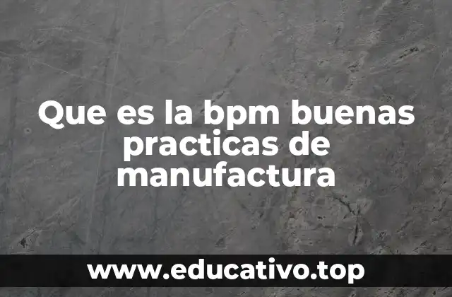 Que es la bpm buenas practicas de manufactura