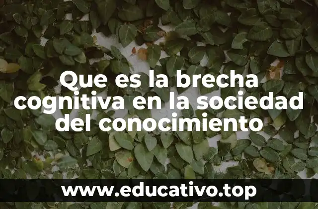 Que es la brecha cognitiva en la sociedad del conocimiento
