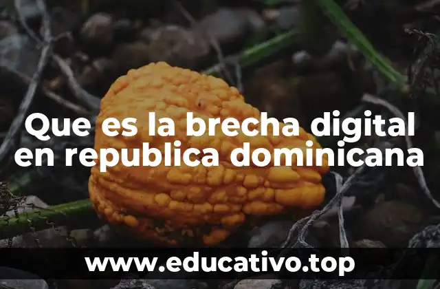 Que es la brecha digital en republica dominicana