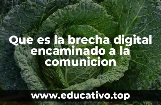 Que es la brecha digital encaminado a la comunicion