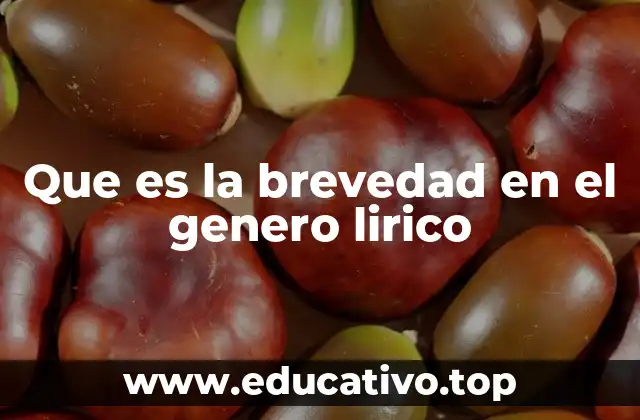 Que es la brevedad en el genero lirico