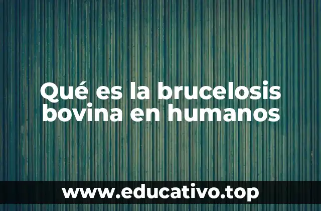 Qué es la brucelosis bovina en humanos