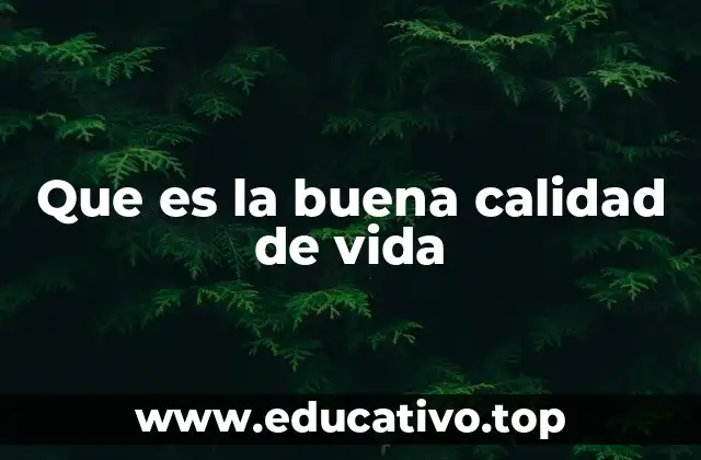 Que es la buena calidad de vida